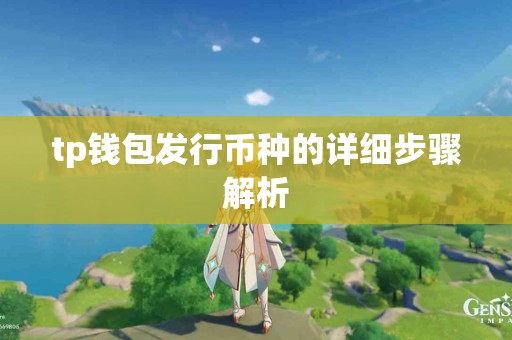 tp钱包发行币种的详细步骤解析