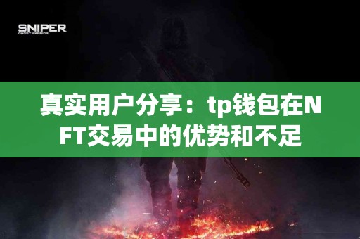真实用户分享：tp钱包在NFT交易中的优势和不足