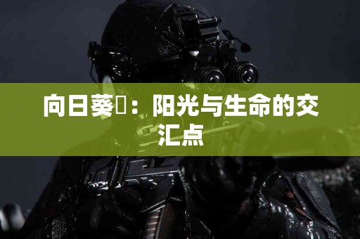 真实用户评测：tp钱包提币体验如何？