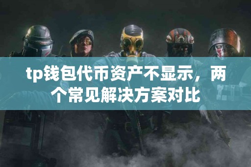 tp钱包代币资产不显示，两个常见解决方案对比