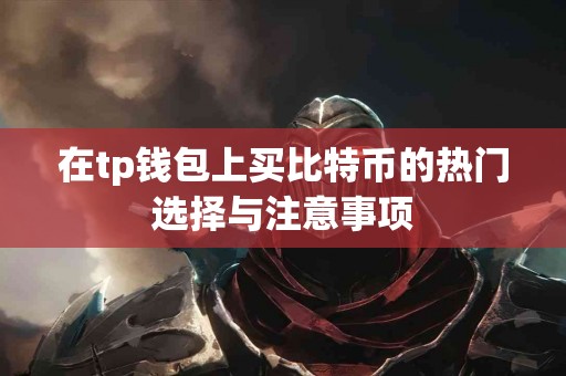 在tp钱包上买比特币的热门选择与注意事项