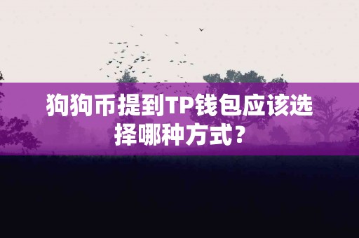 狗狗币提到TP钱包应该选择哪种方式？