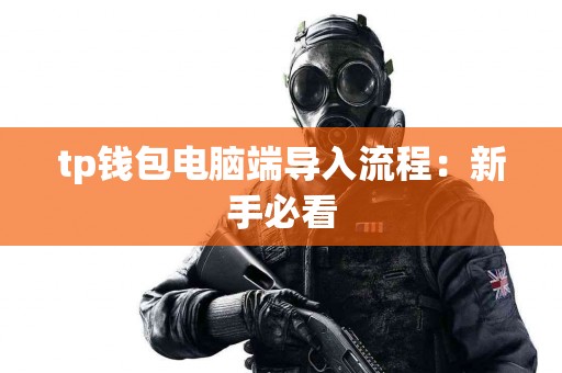 tp钱包电脑端导入流程：新手必看