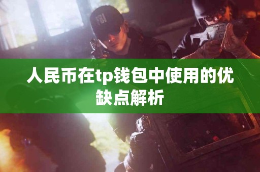 人民币在tp钱包中使用的优缺点解析