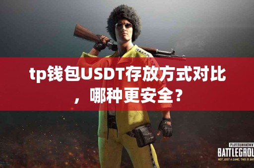 tp钱包USDT存放方式对比，哪种更安全？