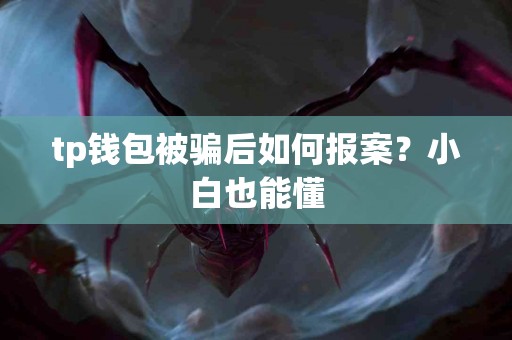 tp钱包被骗后如何报案？小白也能懂