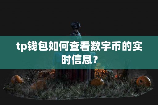 tp钱包如何查看数字币的实时信息？