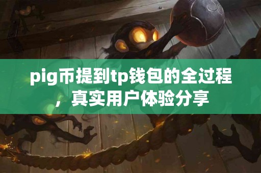 pig币提到tp钱包的全过程，真实用户体验分享
