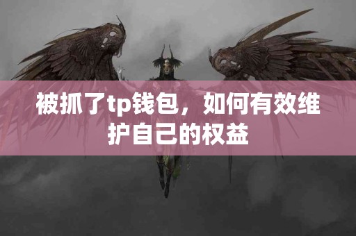 被抓了tp钱包，如何有效维护自己的权益