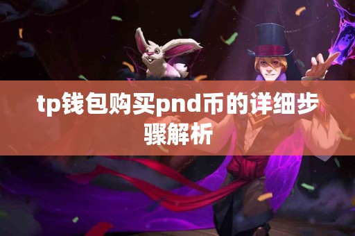 tp钱包购买pnd币的详细步骤解析