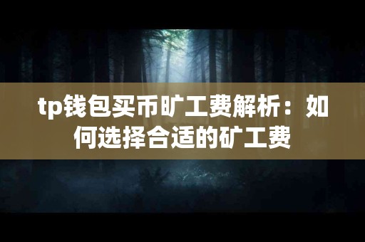 tp钱包买币旷工费解析：如何选择合适的矿工费