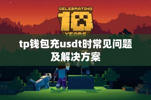 tp钱包充usdt时常见问题及解决方案