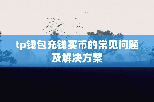 tp钱包充钱买币的常见问题及解决方案