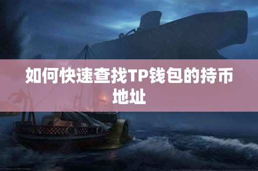 如何快速查找TP钱包的持币地址