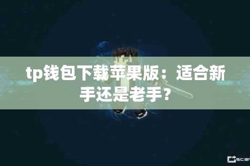 tp钱包下载苹果版：适合新手还是老手？
